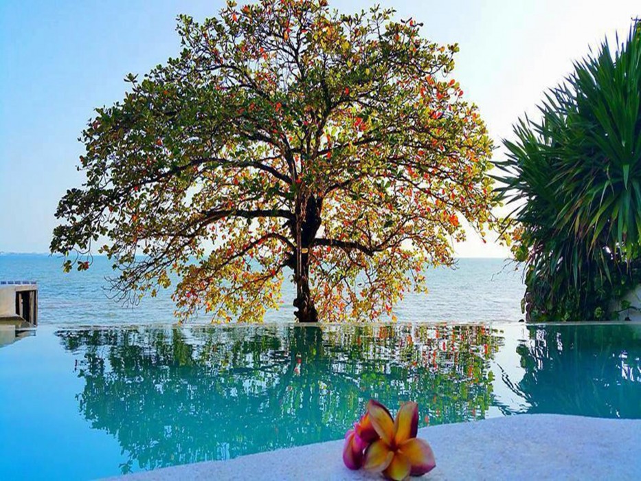 saravoan hotel kep