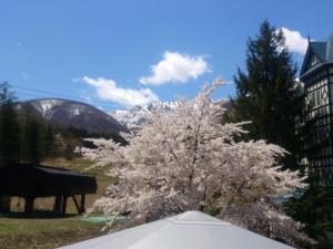hakuba sunvalley hotel