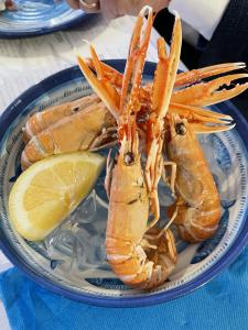 margherita di savoia