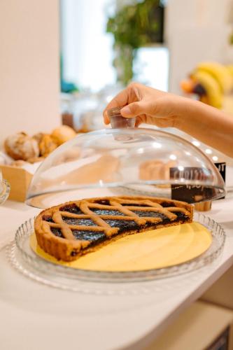 tomato urban retreat