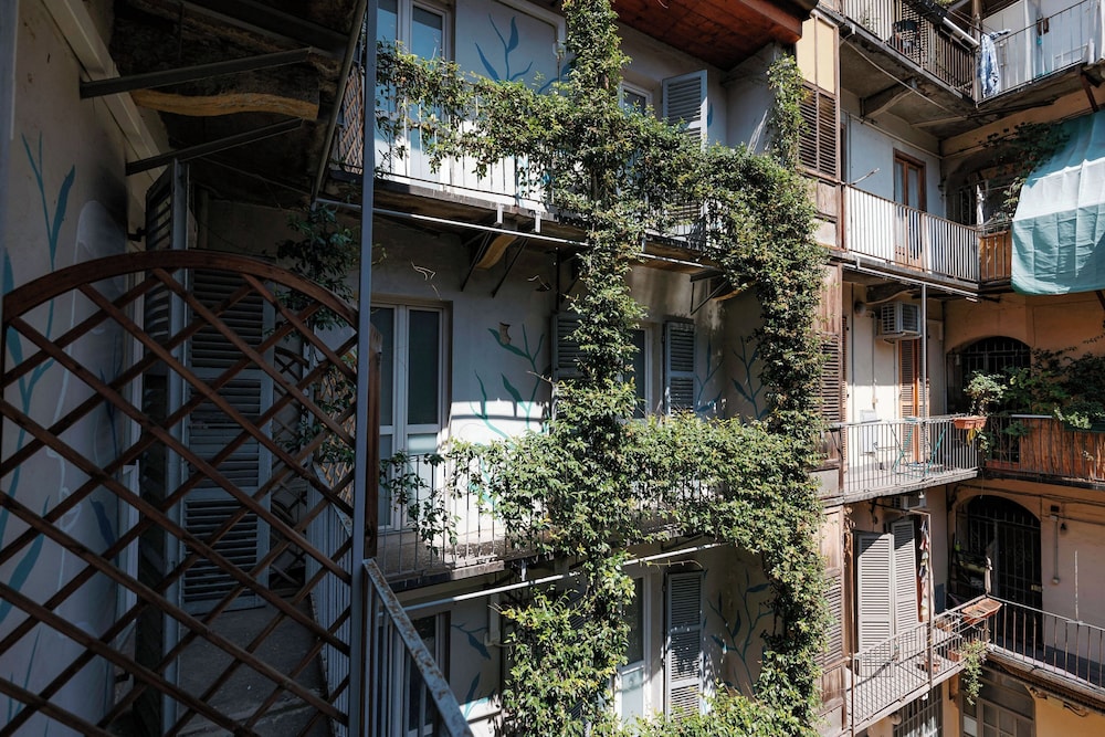 tomato urban retreat