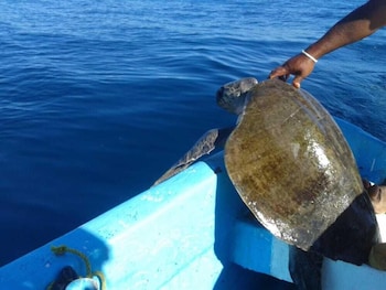 puerto escondido
