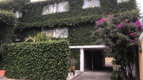 hotel mezvall