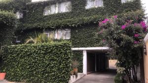 hotel mezvall