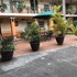 hotel mezvall