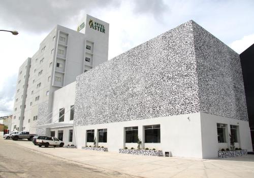 hotel aster