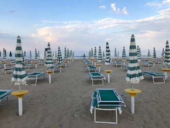 vasto