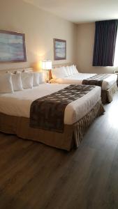 shilo inn elko suites