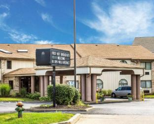 quality inn