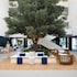 mett hotel and beach resort marbella estepona