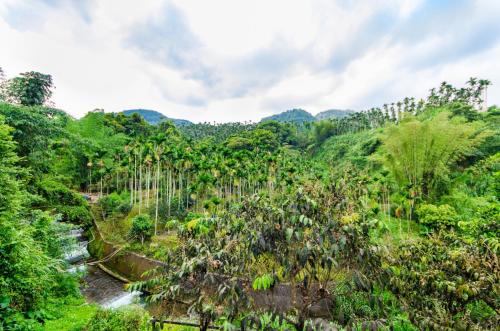 butchard villas sun moon lake