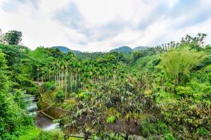 butchard villas sun moon lake