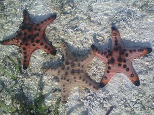 boracay water world resort