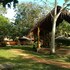 calleria