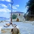 thasos