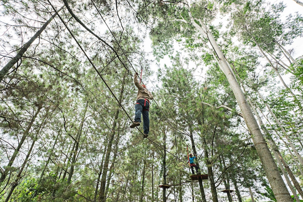 royal caravan hotel trawas