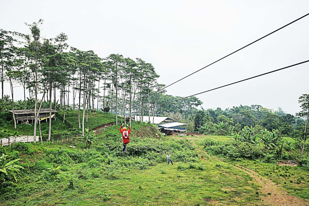 royal caravan hotel trawas