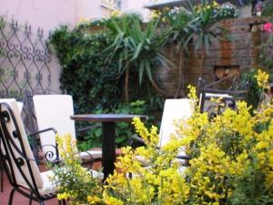 bellaria igea marina