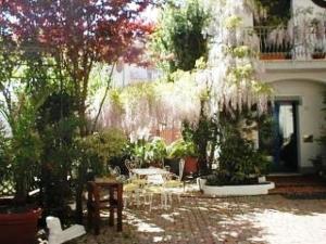 bellaria igea marina