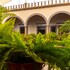 hotel hidalgo