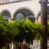 hotel hidalgo