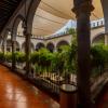 hotel hidalgo