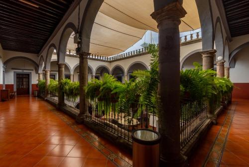 hotel hidalgo