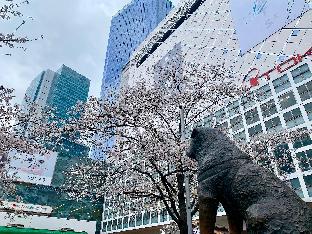 apa hotel shibuya dogenzakaue