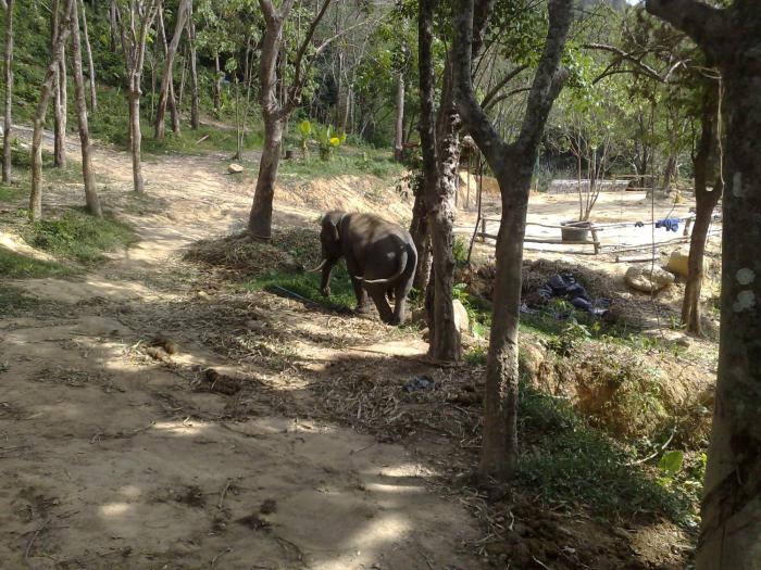 u sabai living hotel