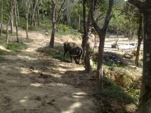 u sabai living hotel