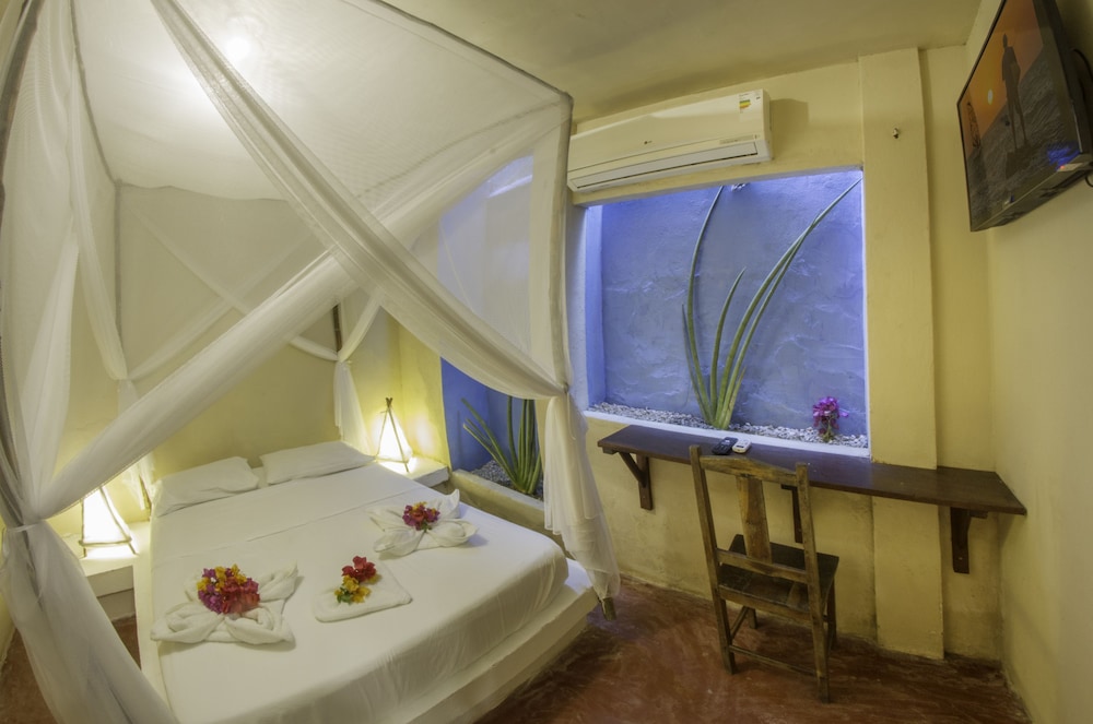 jijoca de jericoacoara