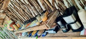 jijoca de jericoacoara