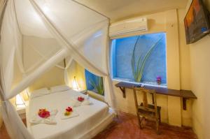 jijoca de jericoacoara