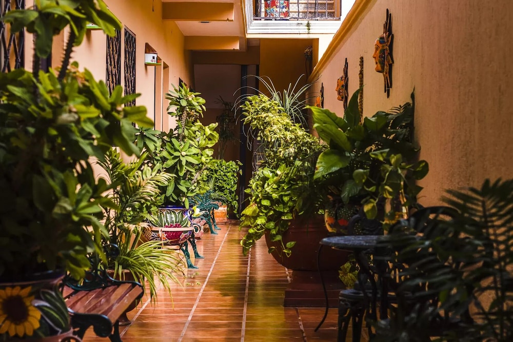 hotel rosalia