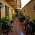hotel rosalia