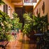 hotel rosalia