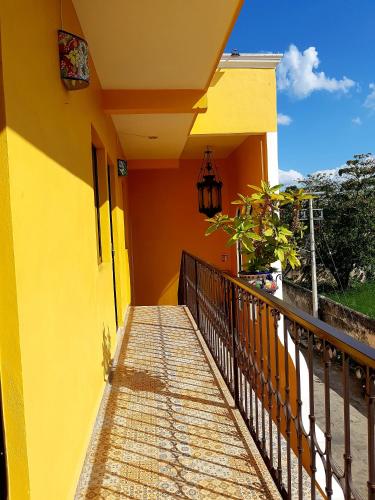 hotel rosalia