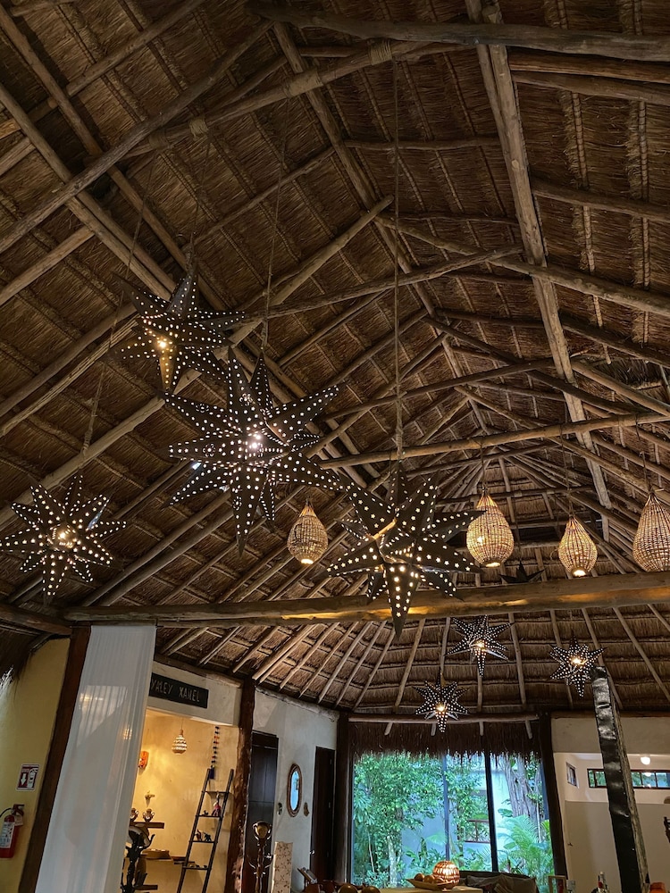 piedra de agua hotel boutique palenque