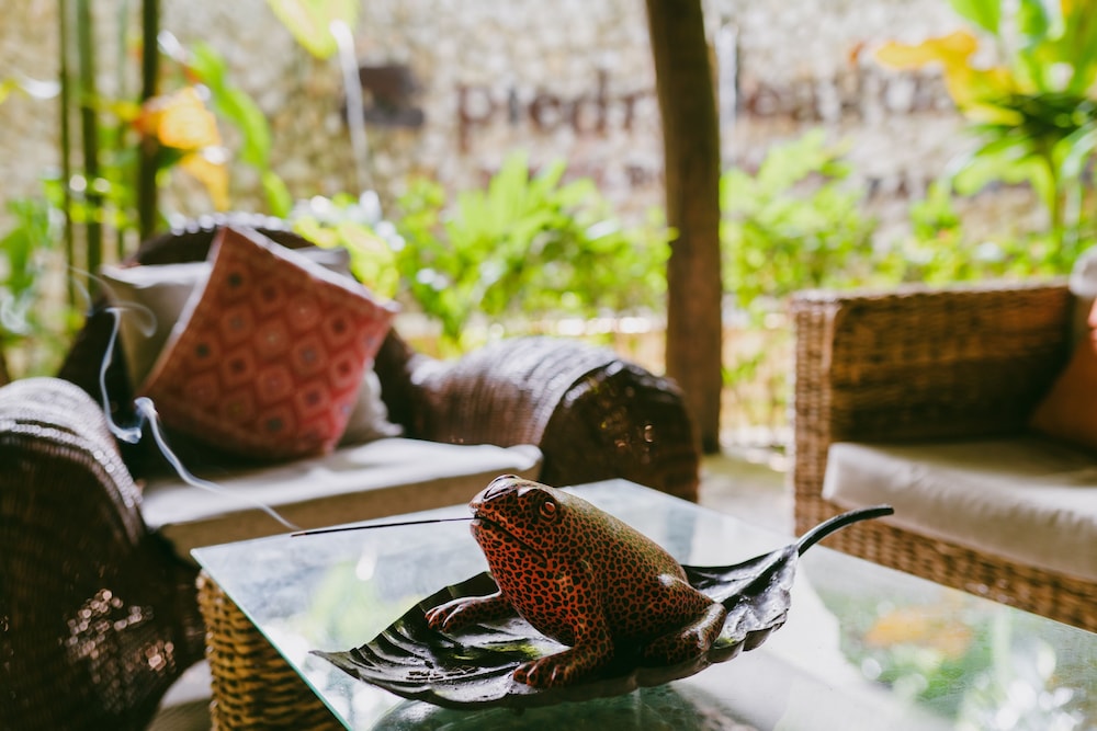 piedra de agua hotel boutique palenque