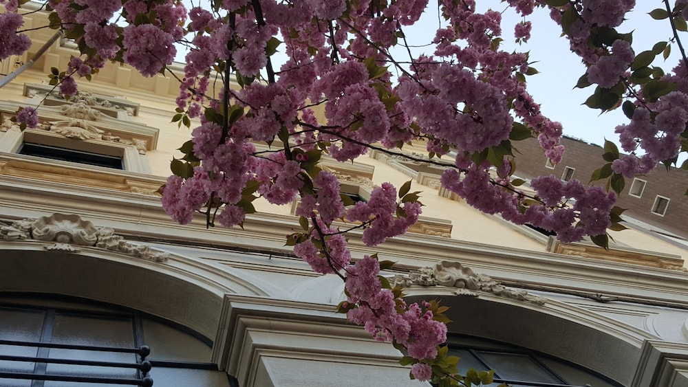 gallarate