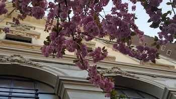 gallarate