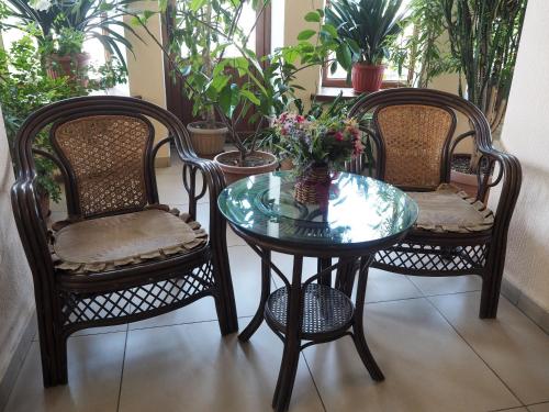 hotel asia mountains 2