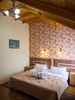 hotel asia mountains 2