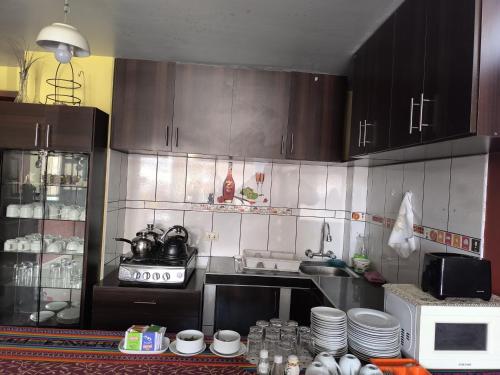 andenes del titicaca