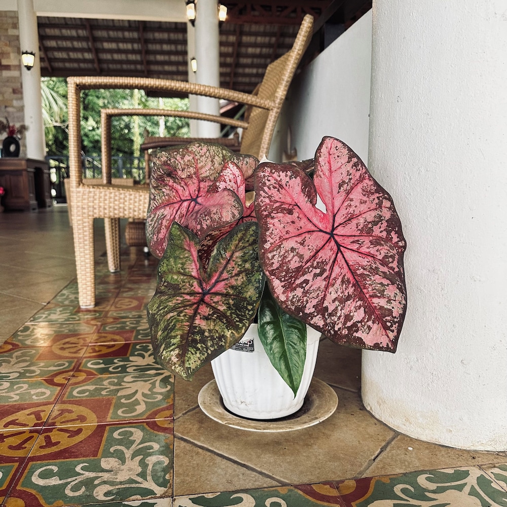 kooncharaburi resort koh chang