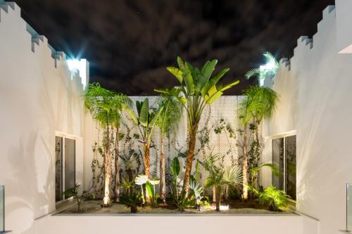 riad zyo