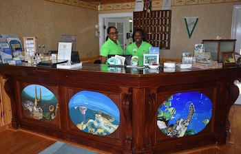 green turtle club resort and marina