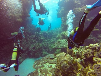 green turtle club resort and marina