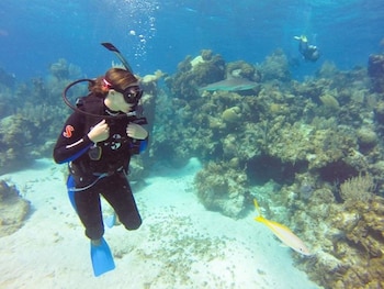 green turtle club resort and marina