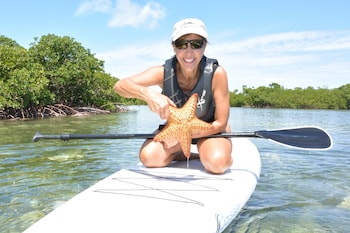 green turtle club resort and marina
